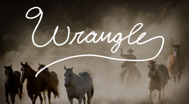 wrangle